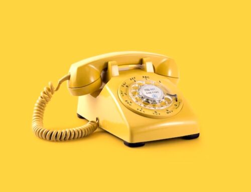 ‘The Telephone Call’ by Fleur Adcock – What is it about?