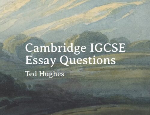 Ted Hughes Poetry Essay Questions