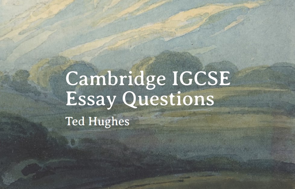 Ted Hughes Poetry Essay Questions - The Scrbbly Blog